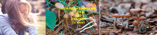 круглые Чердынь