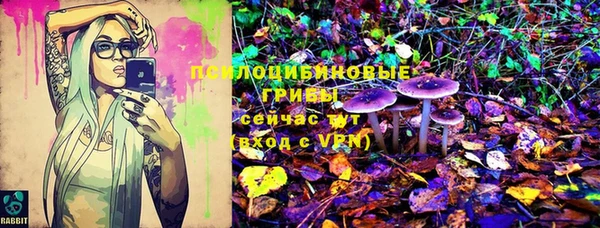 Альфа ПВП Чекалин