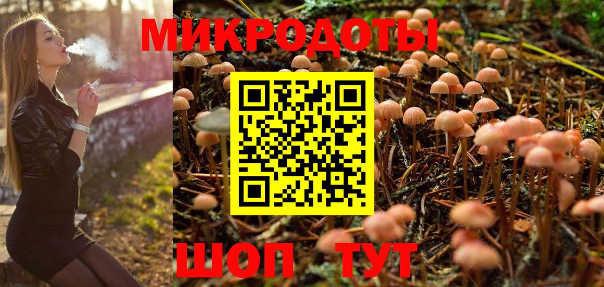 Галлюциногенные грибы Psilocybine cubensis Керчь