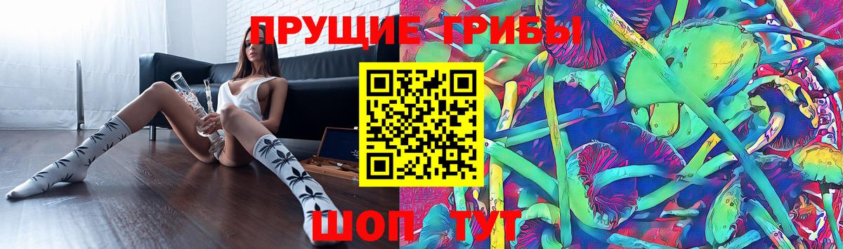 Псилоцибиновые грибы Psilocybe  Вход с VPN  Керчь 